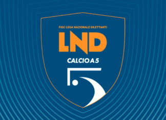 divisione calcio a cinque nuovo logo