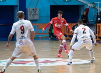 aquile molfetta-itria
