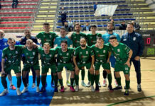 Dream Team Palo