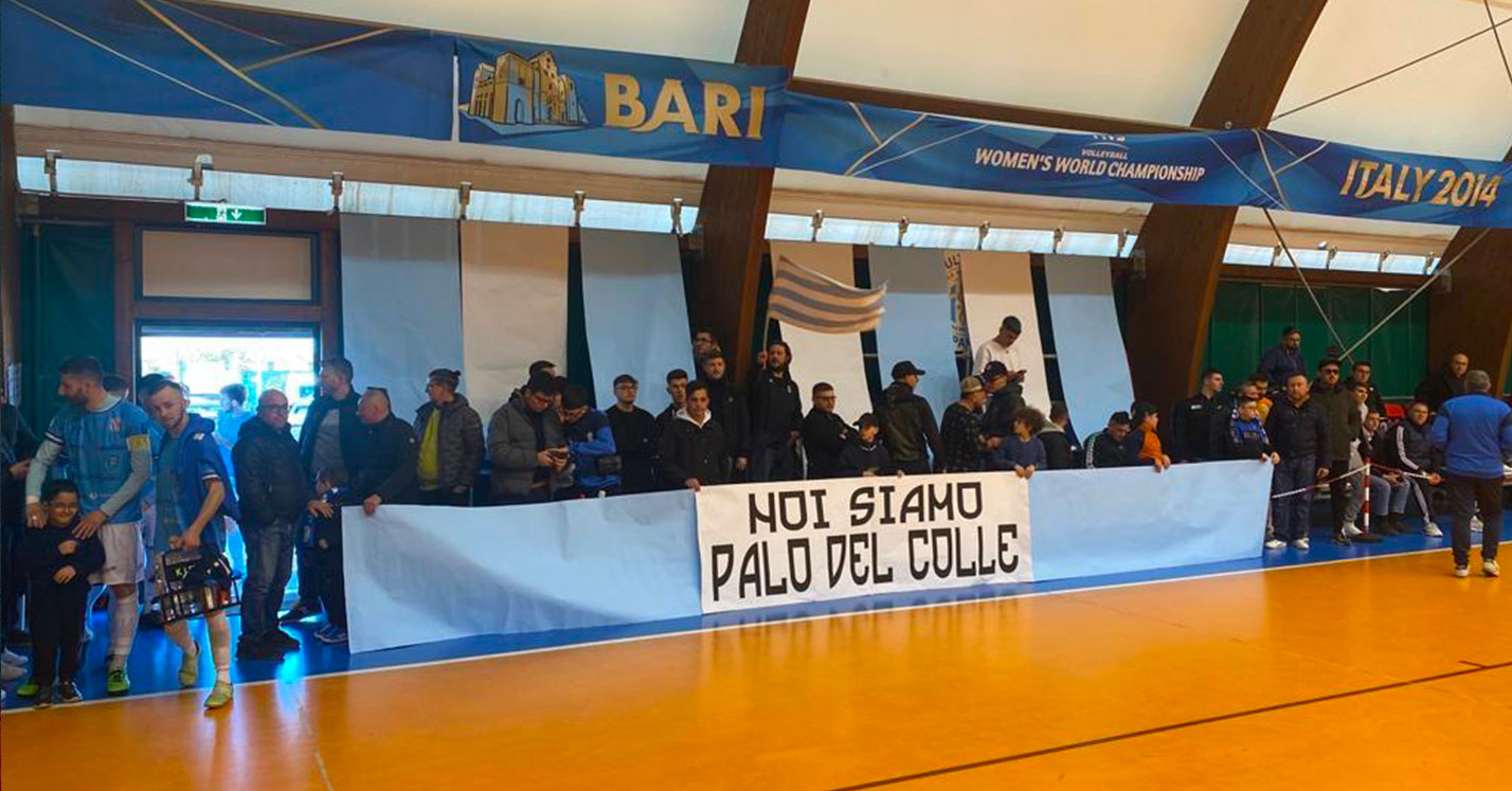 dream-team-palo